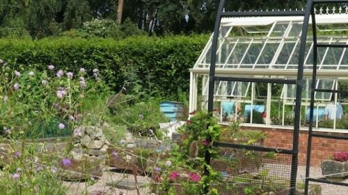 Why Are Kitchen Gardens So Important In Today’s Society?