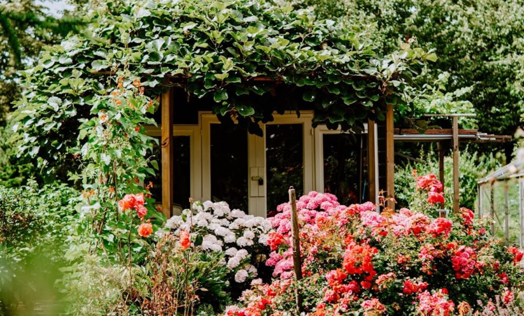 10 Garden Design Ideas You'll Love