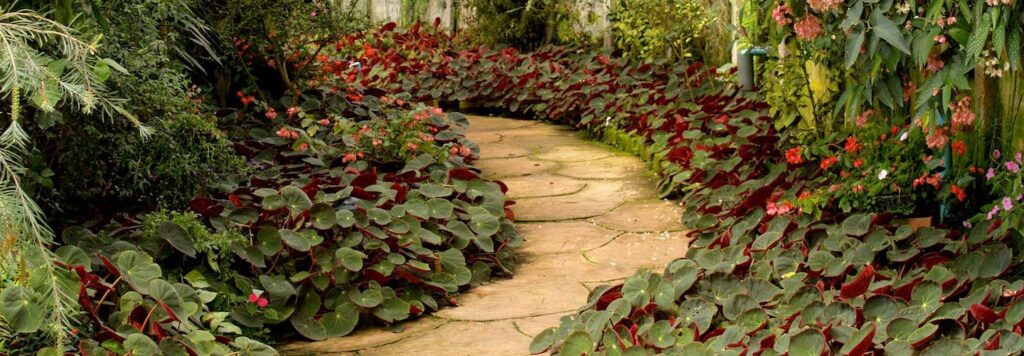 How to Maintain Your Patio During Autumn & Winter