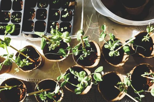 April Gardening Jobs