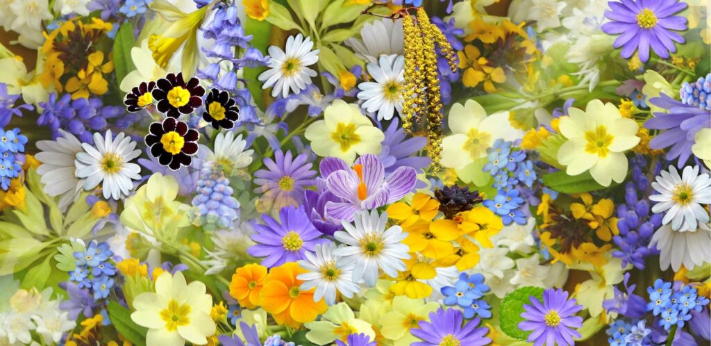May Gardening Tips