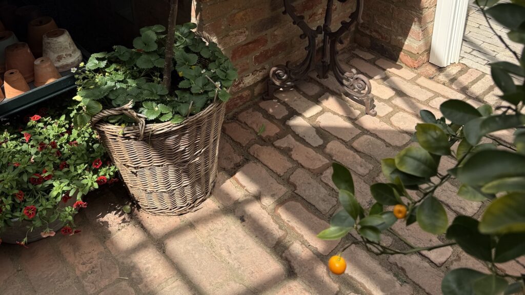 Chelsea Flower Show 2026: Garden Paving Trends to Inspire Your Outdoor Space