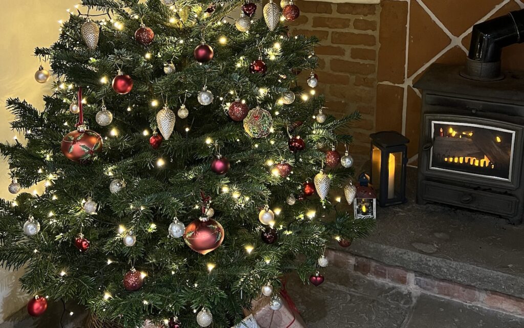 How to choose the perfect Christmas tree