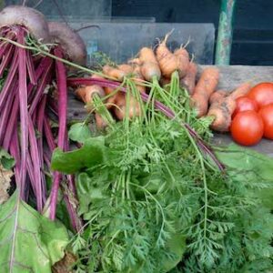 National Vegetarian Week
