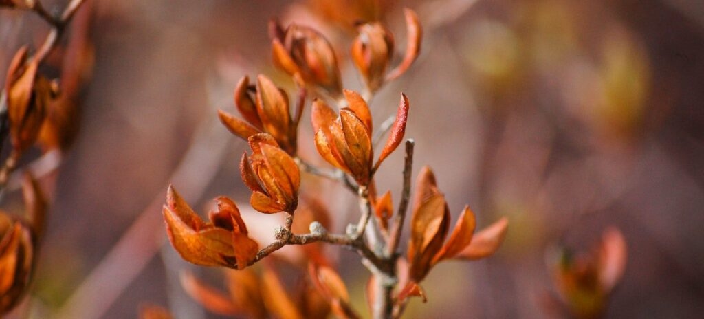 September Gardening Jobs