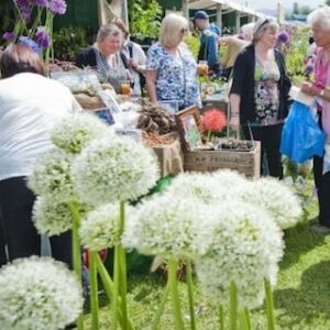 UK Garden Shows 2016