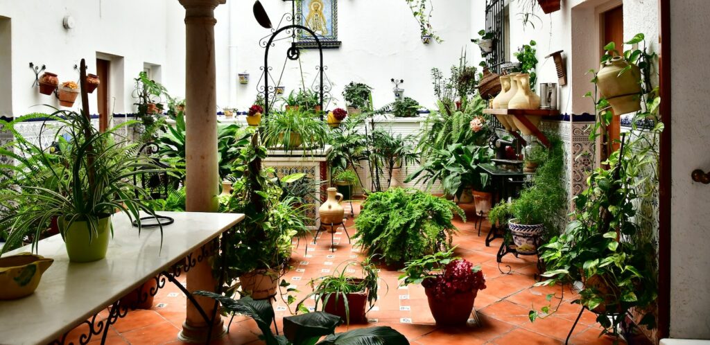 5 Mistakes people make when buying a planter