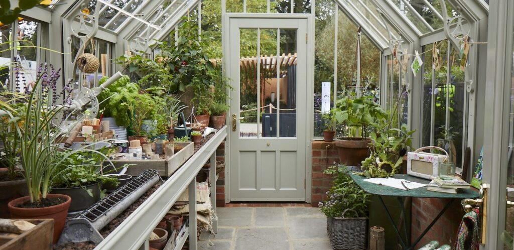 What to Grow & Sow in February